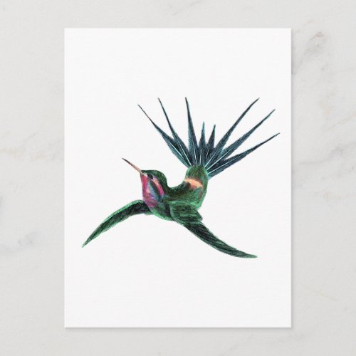 Colorful Hummingbird Postcard