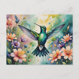 colorful hummingbird postcard