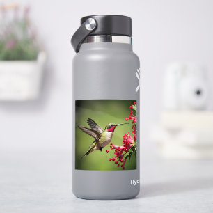 Colorful Hummingbird Sticker