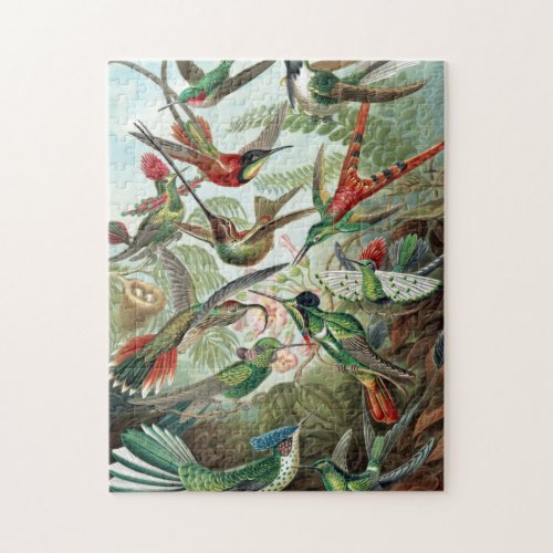Colorful Hummingbirds by Ernst Haeckel Poster Jigsaw Puzzle