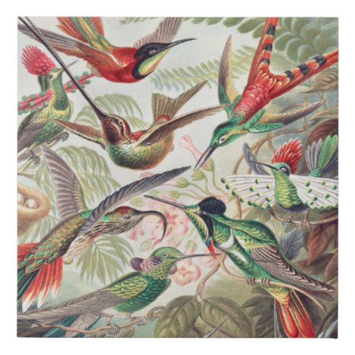 Colorful Hummingbirds Faux Canvas Print