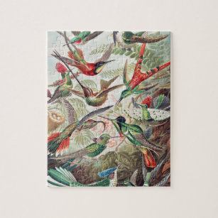 Colorful Hummingbirds Jigsaw Puzzle