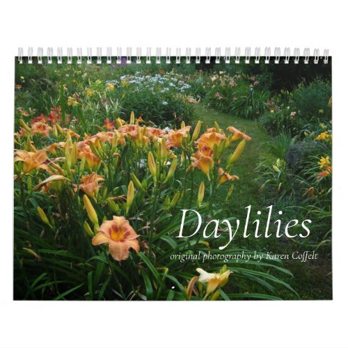 Colorful Hybrid Dayliles Hemerocallis Calendar