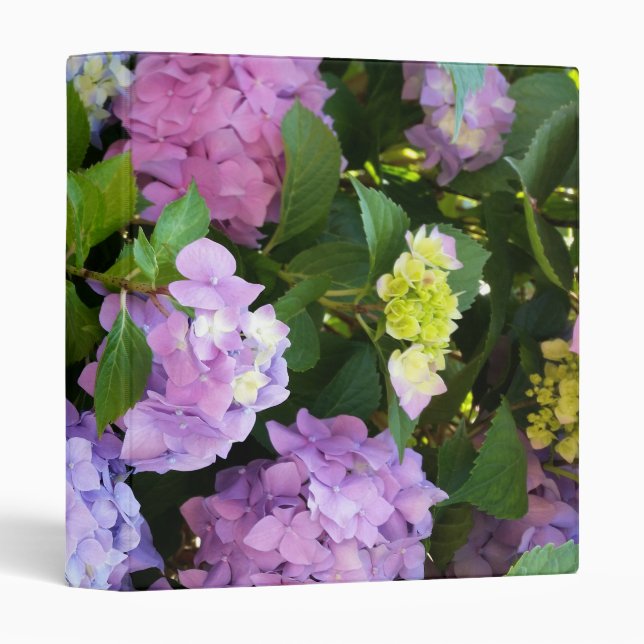 colorful hydrangea binder (Front/Spine)