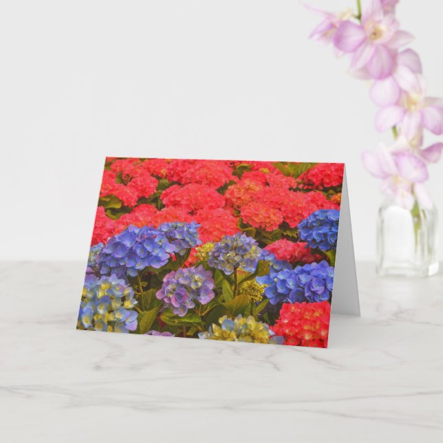 Colorful Hydrangea Flower Garden Art Note Card (Orchid)