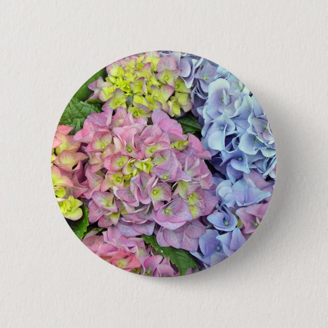 Colorful hydrangea flowers button (Front)