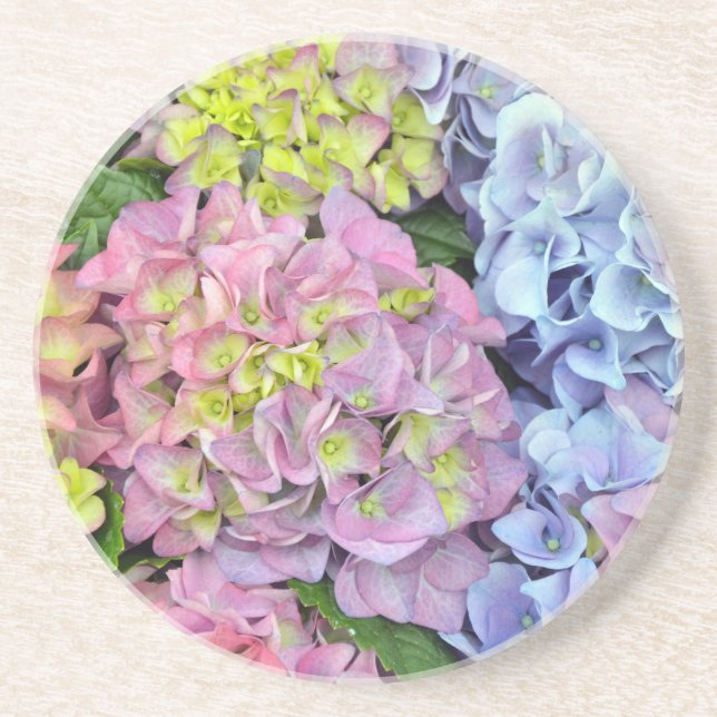 Colorful hydrangea flowers coaster (Front)