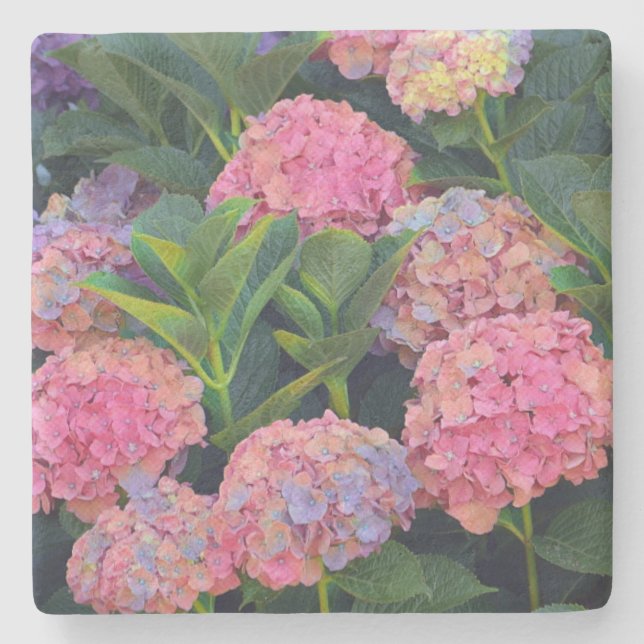 Colorful Hydrangea Stone Coaster (Front)
