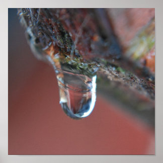 Colorful icicle poster