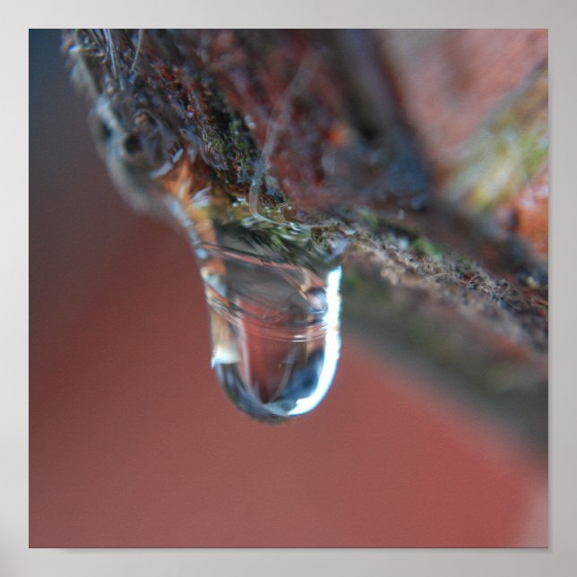 Colorful icicle poster (Front)