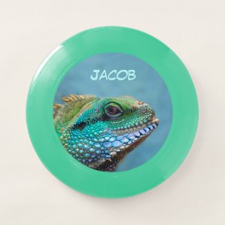 Colorful Iguana Wham-O Frisbee