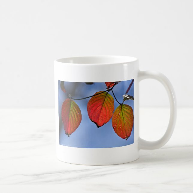 Colorful Illuminated Autumn Leaves Trio Coffee Mug (Right)
