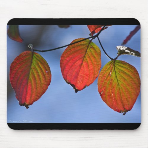 Colorful Illuminated Autumn Leaves Trio Mouse Pad