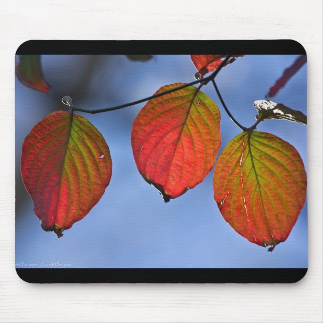 Colorful Illuminated Autumn Leaves Trio Mouse Pad (Front)