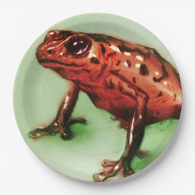 Colorful illustrated paper plate - Frog (Front)
