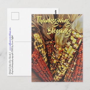 Colorful Indian Corn Kernels Photo 2 Thanksgiving Postcard