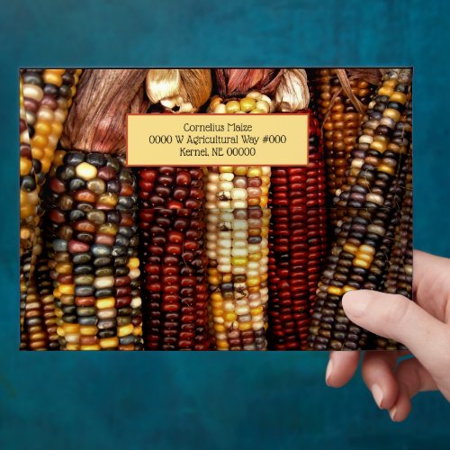 Colorful Indian Corn Kernels Photo Envelope