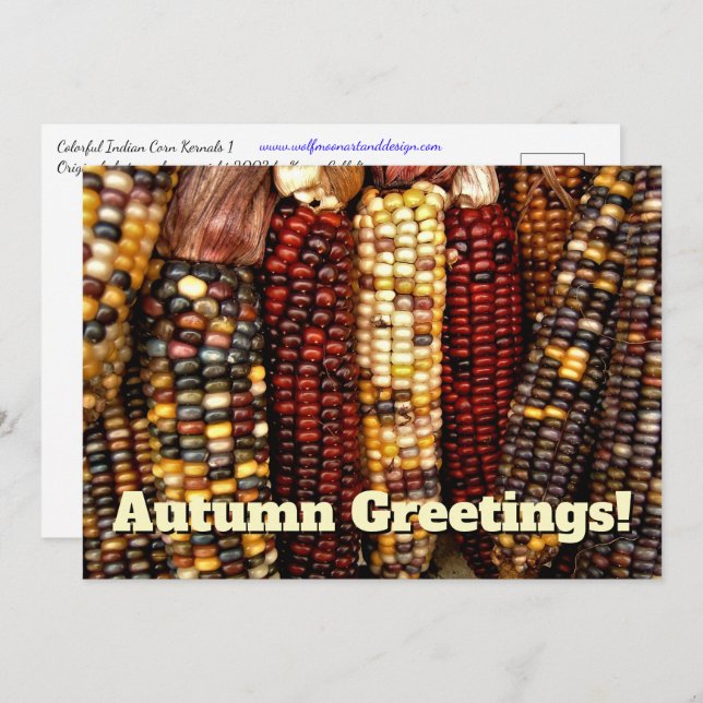 Colorful Indian Corn Kernels Photo Postcard (Front/Back)