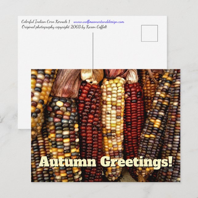 Colorful Indian Corn Kernels Photo Postcard (Front/Back)