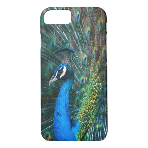 Colorful Indian peacock tail feathers open profile iPhone 87 Case