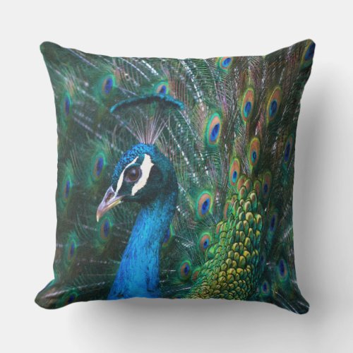 Colorful Indian peacock tail feathers open profile Throw Pillow