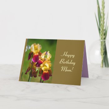 Colorful Iris Birthday Template Card by bluerabbit at Zazzle
