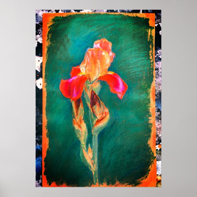 Colorful Iris Flower Poster (Front)