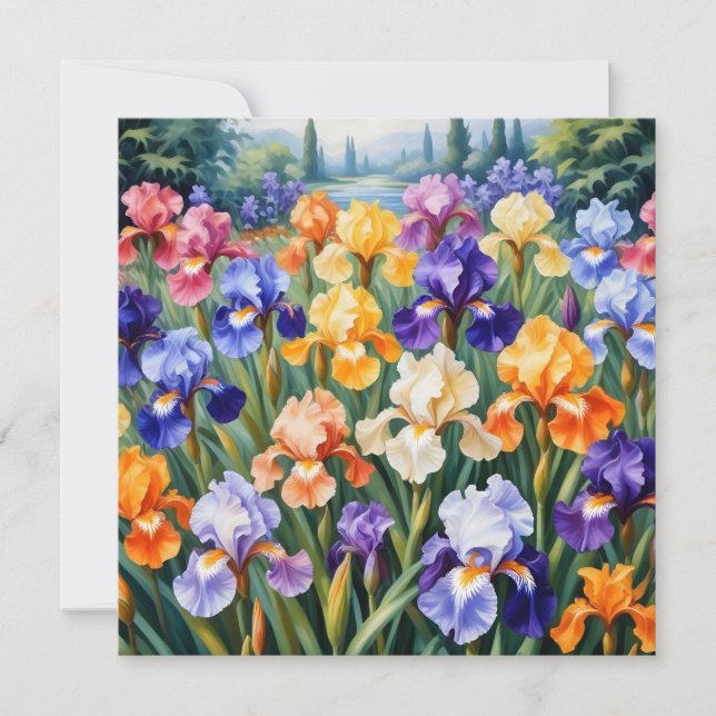 Colorful iris garden (Front)