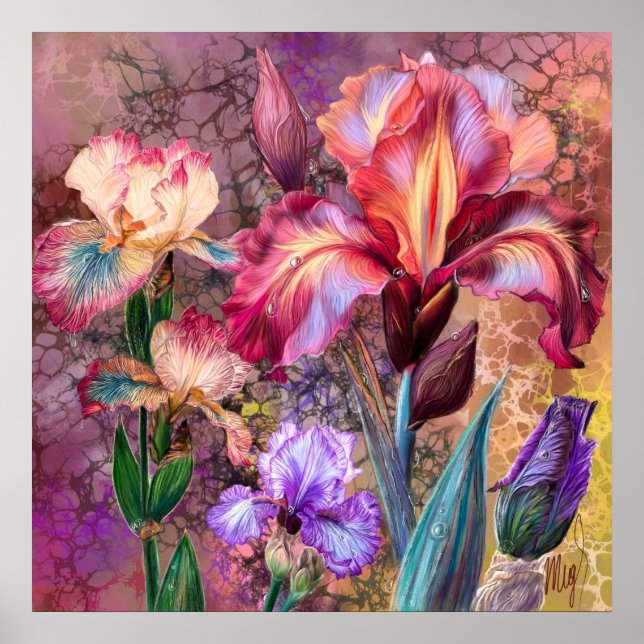 Colorful Irises Poster (Front)