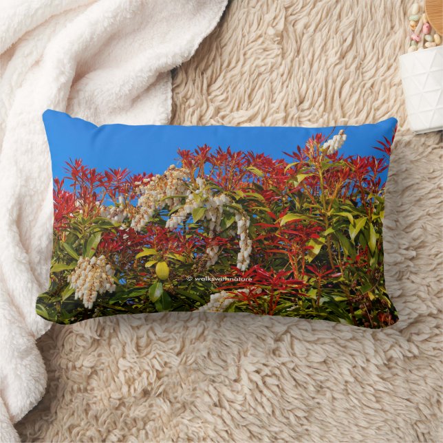 Colorful Japanese Andromeda Bonfire Shrub Lumbar Pillow (Blanket)