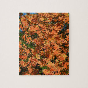 Colorful japanese maple leaves jigsaw puzzle