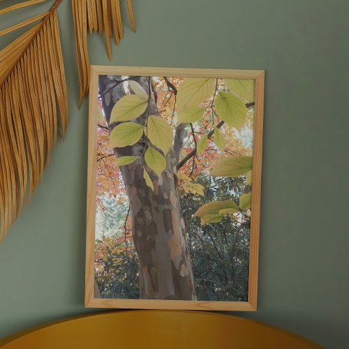 Colorful Japanese Stewartia Tree Photo Print
