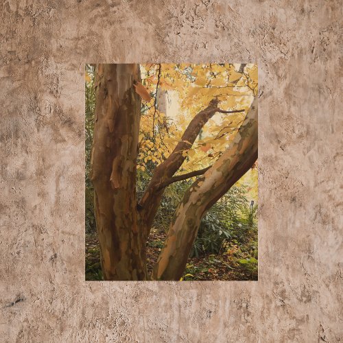 Colorful Japanese Stewartia Tree Photographic Wood Wall Art