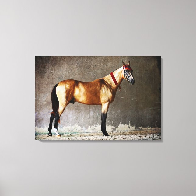 Colorful Jumping Horse Canvas Print (Front)