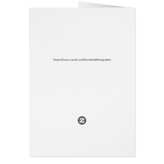 Colorful Kayaks (Back)