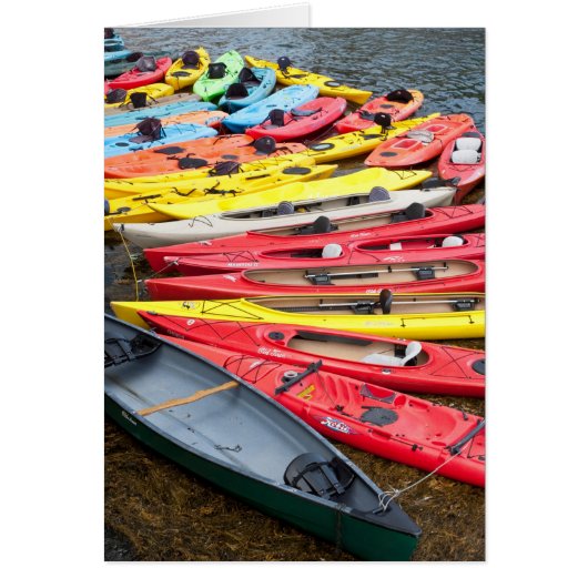Colorful Kayaks Cards (Front)