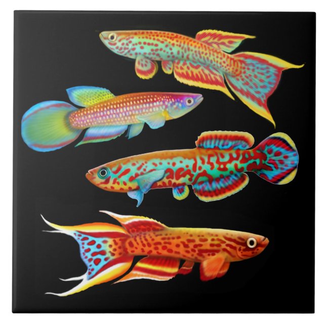 Colorful Killifish Tile (Front)