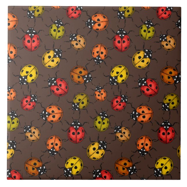Colorful ladybugs on brown ceramic tile (Front)