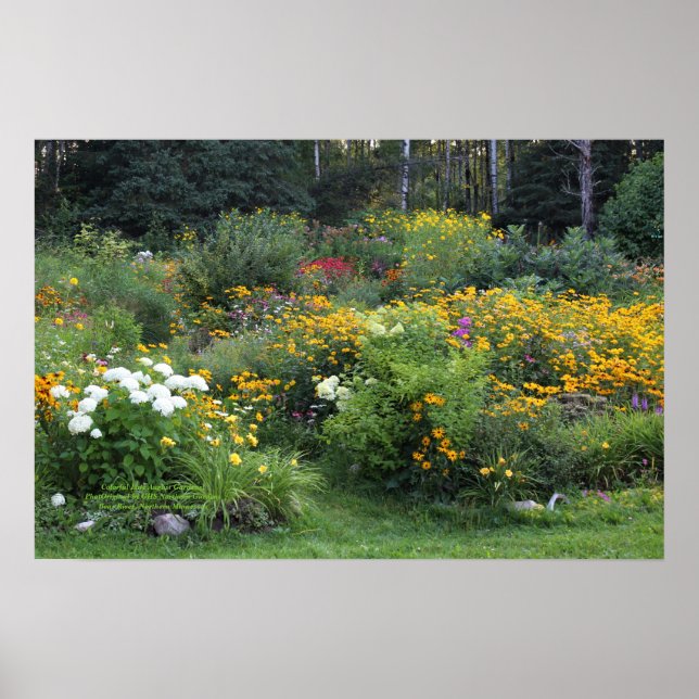 Colorful Late August Gardens! Poster (Front)