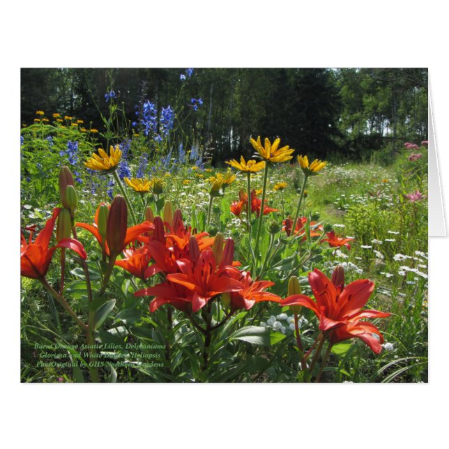 Colorful Late Summer Garden Cards (Front Horizontal)