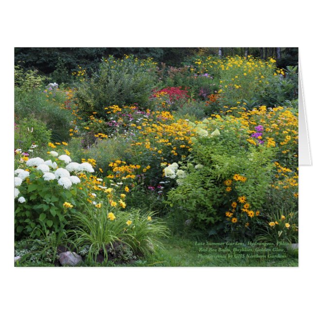 Colorful Late Summer Garden Cards (Front Horizontal)