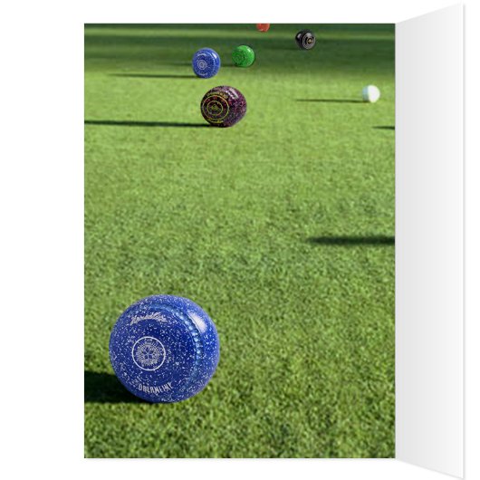 Colorful Lawn Bowls, (Inside (Left))