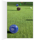 Colorful Lawn Bowls, (Inside (Right))