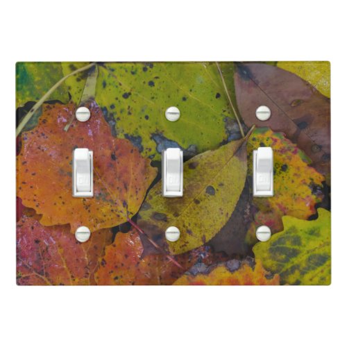 Colorful leaves after rain light switch cover