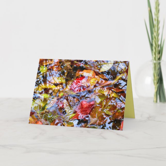 Colorful Leaves Shapes Tree Reflections in Water  Card (Front)