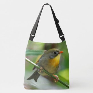 Colorful Leiothrix / Pekin Robin Songbird Crossbody Bag