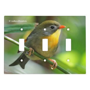Colorful Leiothrix / Pekin Robin Songbird Light Switch Cover
