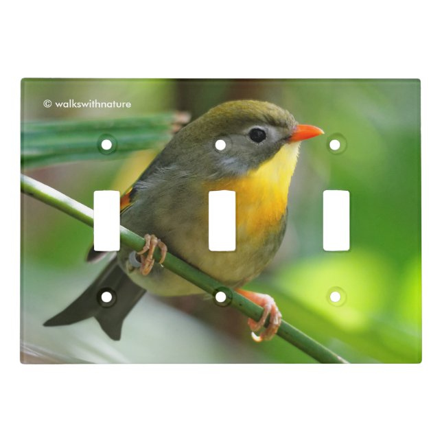 Colorful Leiothrix / Pekin Robin Songbird Light Switch Cover (Front)
