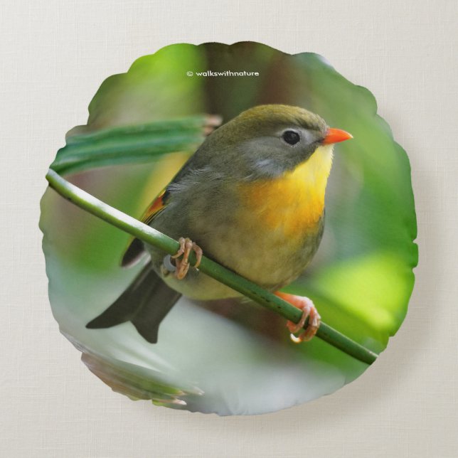 Colorful Leiothrix / Pekin Robin Songbird Round Pillow (Front)