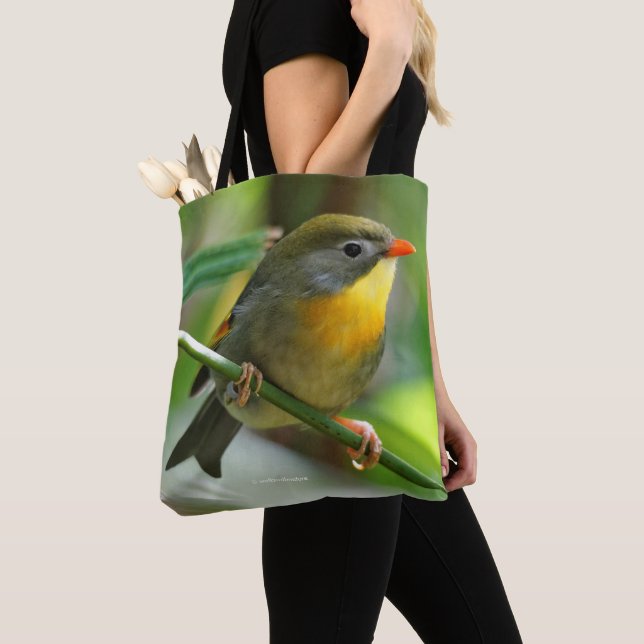 Colorful Leiothrix / Pekin Robin Songbird Tote Bag (Close Up)